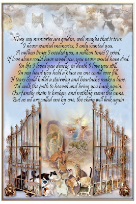 Rest In Peace Poems For A Friend rainbow bridge poem Rest In Peace Poems For A Friend
